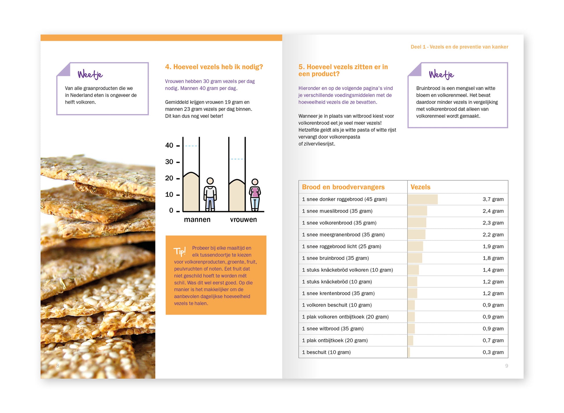 Voorbeeld van het binnenwerk van de brochure 'De voordelen van vezels'. Hier staat informatie over hoeveel vezels we nodig hebben.
